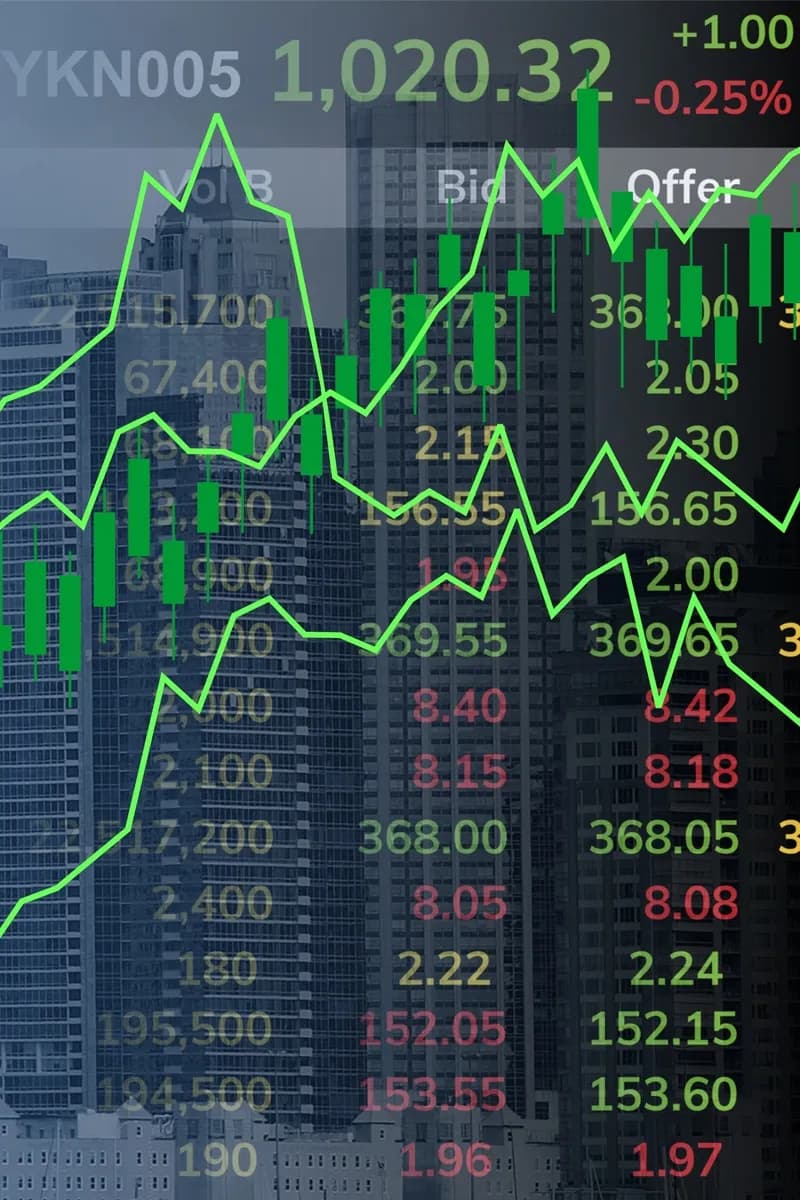 Stocks or other securities donation option