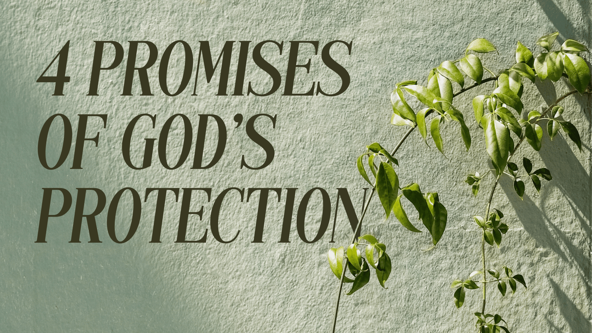 4 Promises of God's Protection Image